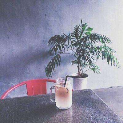 一码一肖100准资料应用下载手机版