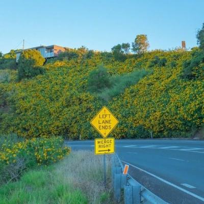 乐鱼官网下载手机版