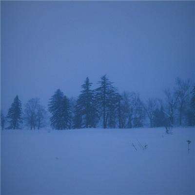 金沙乐娱场app下载下载手机版