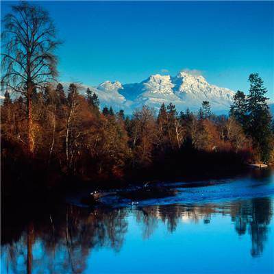 天成彩票手机app下载