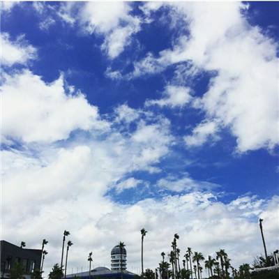 鸭脖app下载app下载