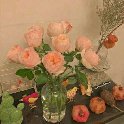 百姓彩票Welcome·官方网站