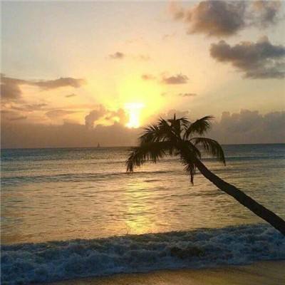 快3平台官网app下载