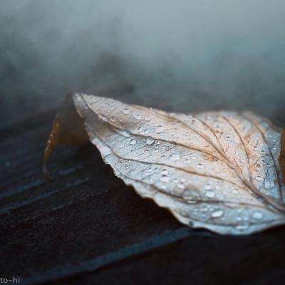 manbet手机版官网