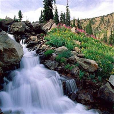 爱游戏全站APP入口苹果版下载手机版