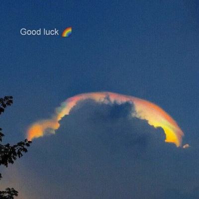 管家婆期期四肖四码中特管家手机app下载