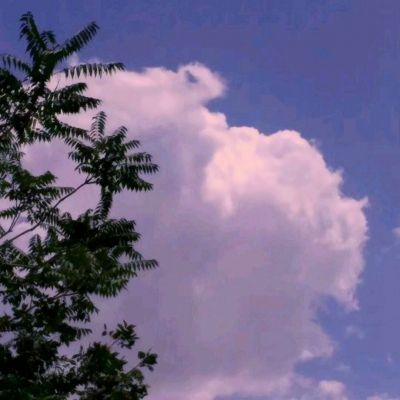 万博全站manbetx安装